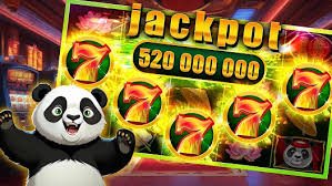 555win com
