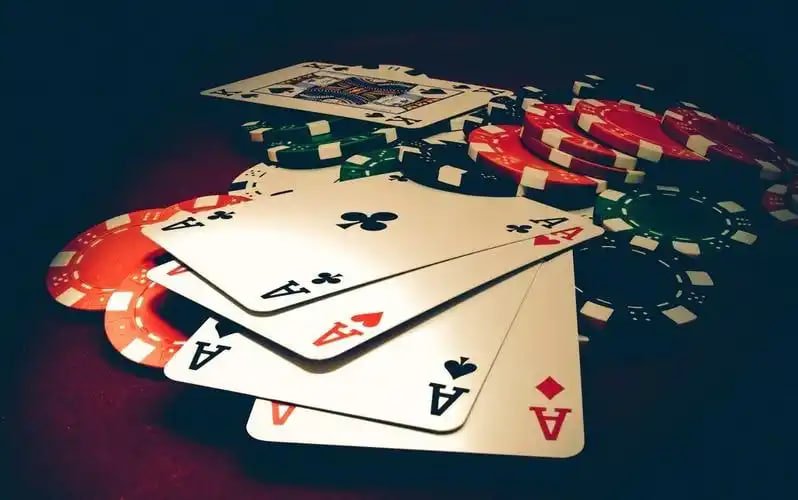 555win com
